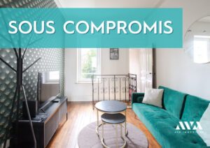 Photos du biens: Appartement Nancy 2 pièce(s)