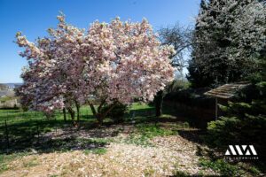 Photos du biens: Duplex Vandoeuvre-Lès-Nancy - 3 chambres - Jardin