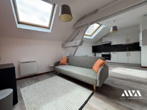 Photos du biens: Appartement Nancy 2 pièce(s) 41 m2